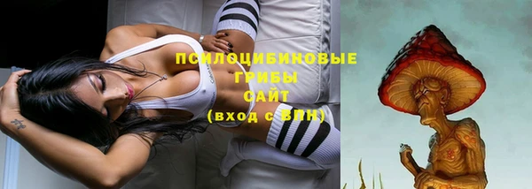 тгк Коряжма