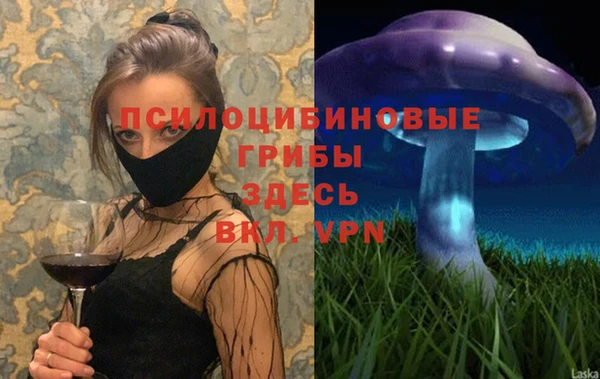 соль курить ск Козельск