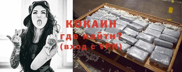 дживик Козловка