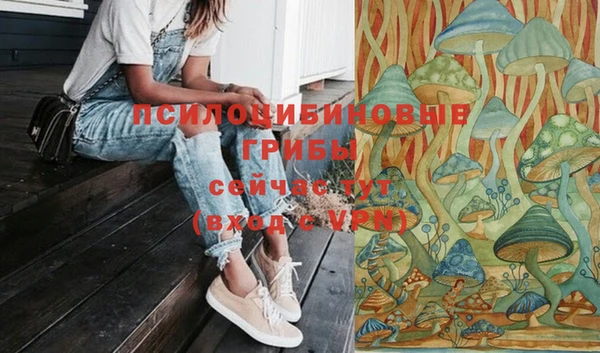 хмурый Костерёво