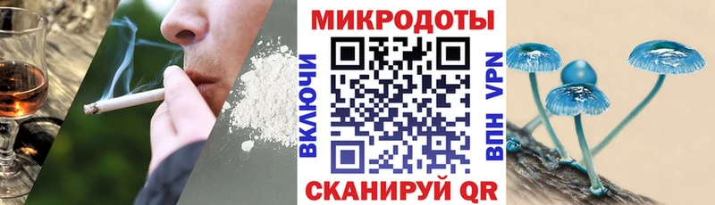 mega ТОР  Фролово  Псилоцибиновые грибы MAGIC MUSHROOMS 