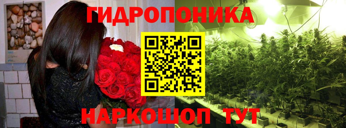 Фролово  МАРИХУАНА OG Kush  Конопля тримм  Вход с VPN  Конопля Bruce Banner  Конопля VHQ 